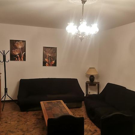 Spacieux Appartement Dans Villa Jonage Exterior photo